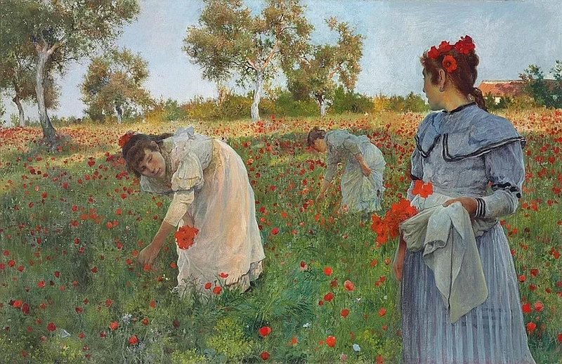 Luis Jiménez Aranda - I papaveri